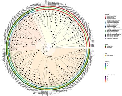 Phylogenetic Analysis Indicates That Evasin-Like Proteins of Ixodid Ticks Fall Into Three Distinct Classes